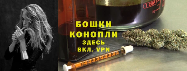 дживик Верея
