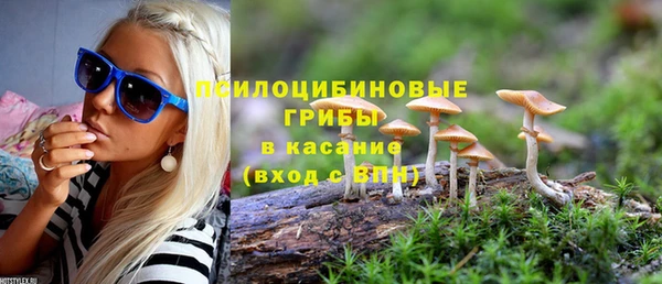 дживик Верея