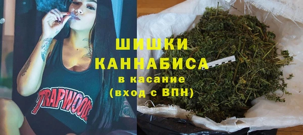 молекула духа Верхний Тагил
