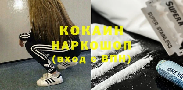 дживик Верея