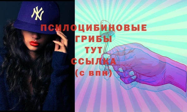 молекула духа Верхний Тагил