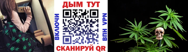 блэк спрут вход  цены   Гдов  Шишки марихуана THC 21% 